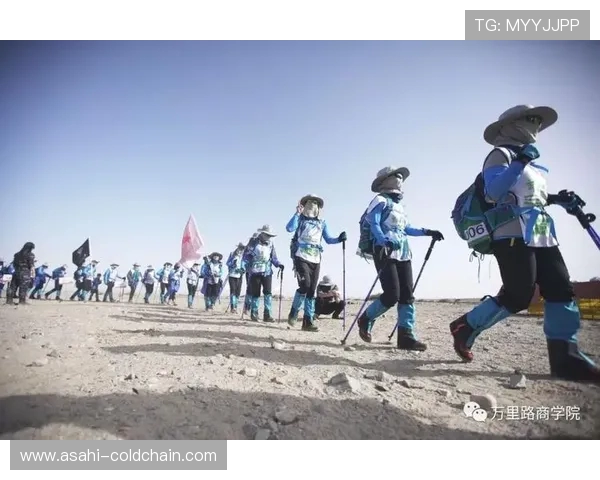 TES重塑辉煌之路精英赛背后的转型与挑战解析