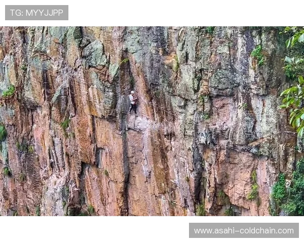 北京极限运动队在攀岩联赛中以83分稳居积分榜首位