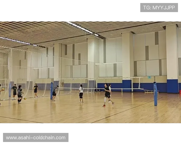 深圳排球队的速度之谜:排球巨献背后的训练与激情探秘 深圳排球队的速度之谜:排球巨献背后的训练与激情探秘