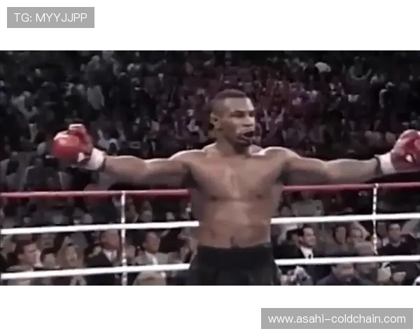 卡利杰与斯霍拉的巅峰对决谁将成为新一代拳坛霸主